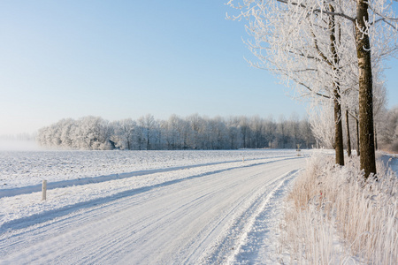 荷兰冬季农田覆盖着雪图片