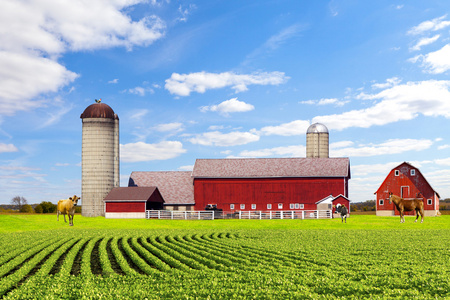 美国农村红农场与蓝蓝的天空