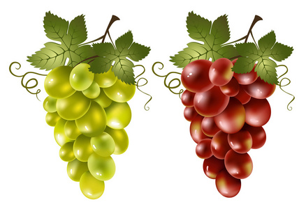 红色和绿色葡萄