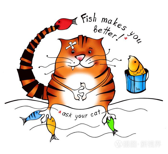 猫和鱼