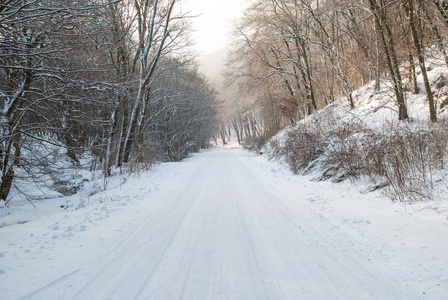 白雪皑皑的冬天路