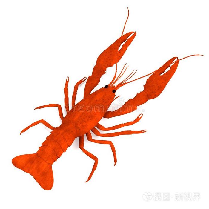 下载小样发票合同问题/举报螃蟹卡通对虾的三维渲染卡通寄居蟹和鱼