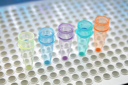 医疗保健 生物学 细胞 化学 工具 生物技术 生物 治愈