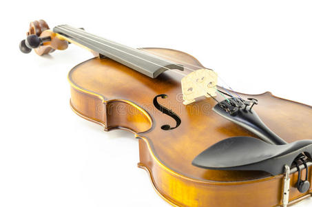 琴弦乐器白色独立小提琴图片