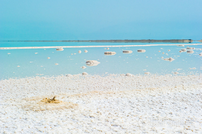 死海以色列的海岸