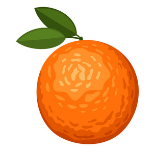 橙色水果上白色隔离。矢量插画