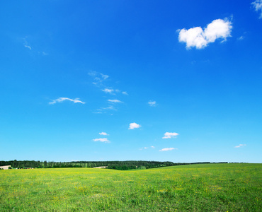 绿色的原野