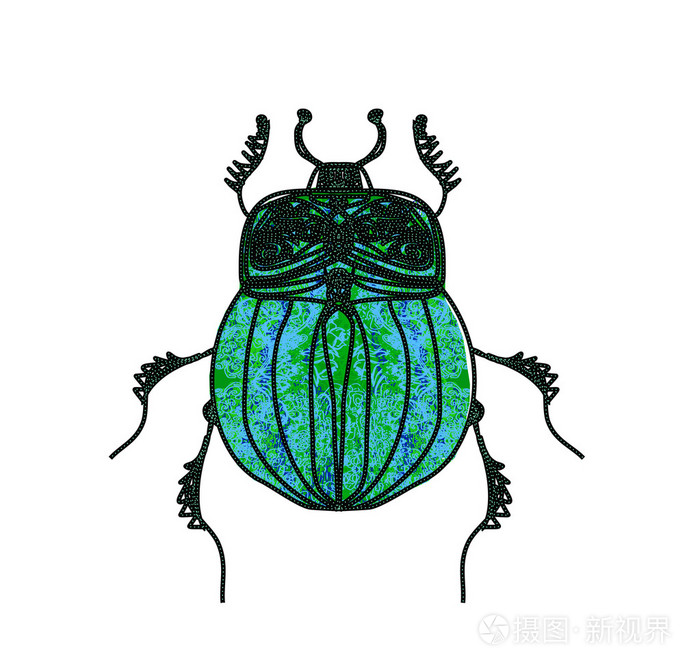 圣甲虫甲虫矢量