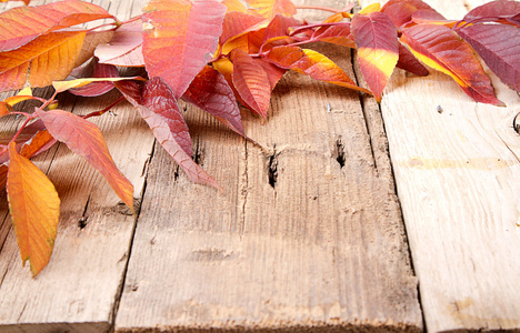 秋天的叶子在木板上