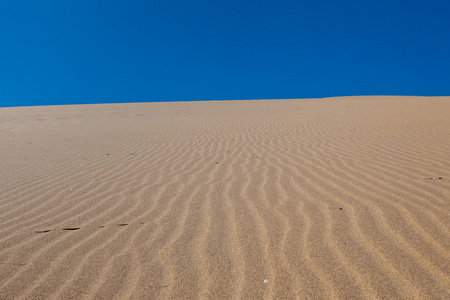 在沙漠里，纳米比亚，非洲的沙丘