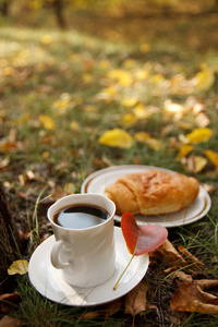 秋天的场景。咖啡和羊角面包。美丽的一天
