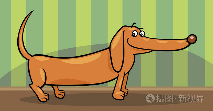 腊肠狗的狗卡通插图