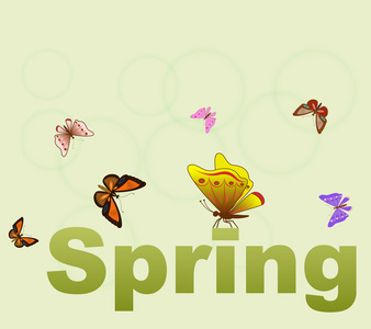 春天绿色的概念背景与蝴蝶