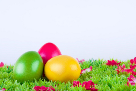 多彩绘的复活节彩蛋位于一个草甸与鲜花
