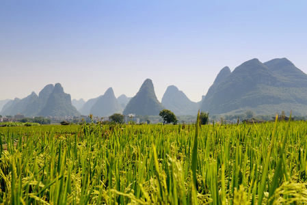 风景在阳朔桂林，中国