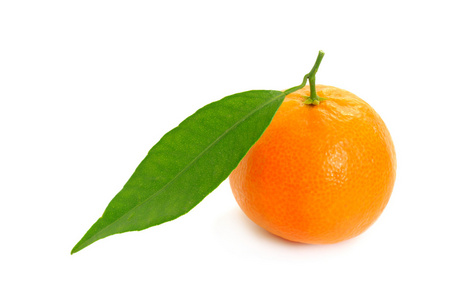 孤立的橘