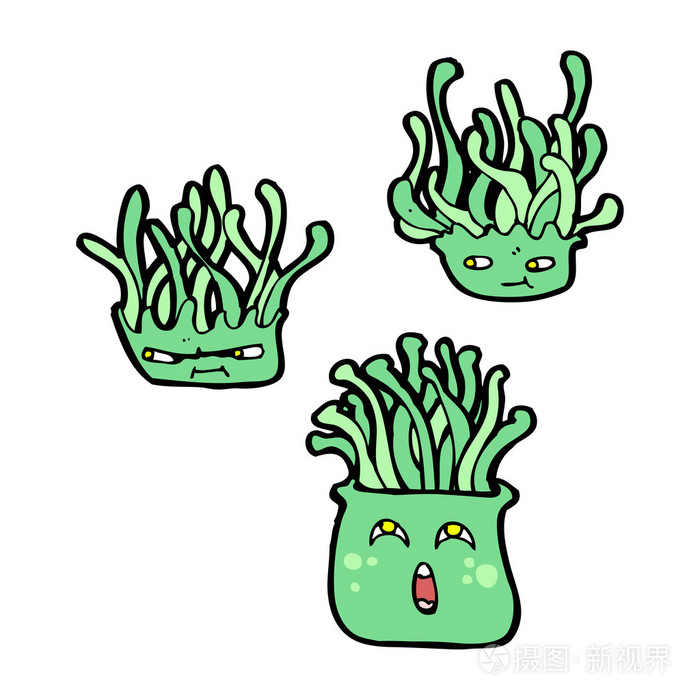 卡通海葵集合