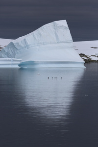 南极半岛的性质。国际海洋考察理事会和冰山。旅行深纯净水域之间的南极洲冰川。梦幻般的冰雪景观