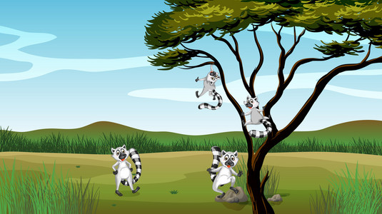 玩在树中的野生动物