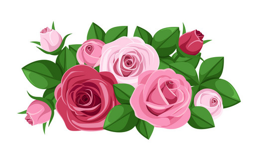 红色和粉色玫瑰 玫瑰花苞和叶子。矢量插画