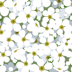 白色小花的无缝背景。矢量插画
