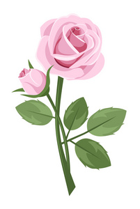 与干上白色隔离的粉红玫瑰。矢量插画