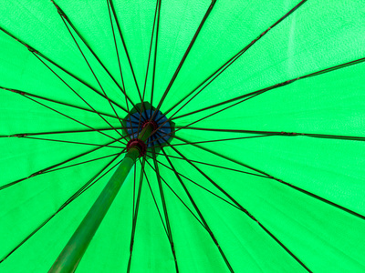 绿颜色的伞图片