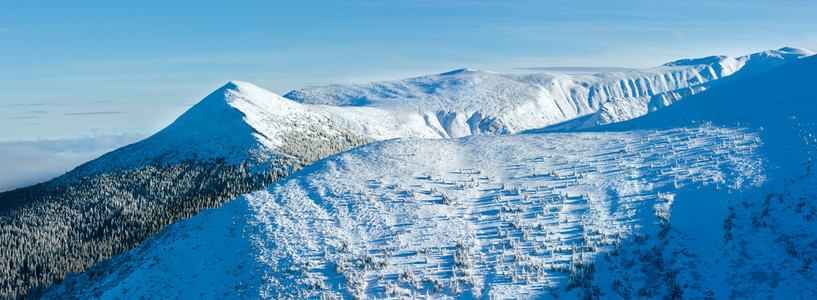 冬天与雪树山风景图片