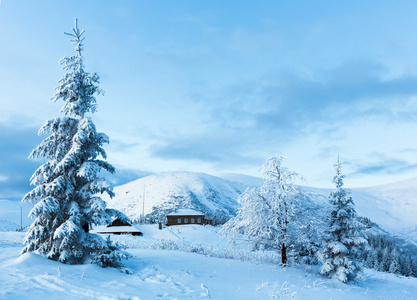 冬天与雪树山风景