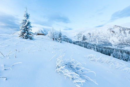 冬天与雪树山风景