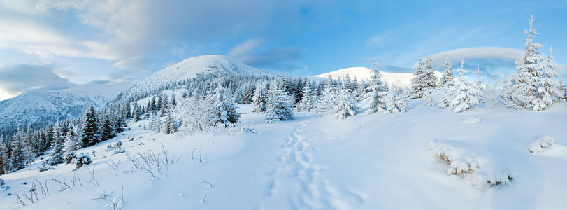 冬天与雪树山风景