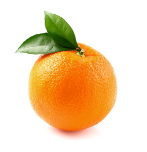 成熟甜橙