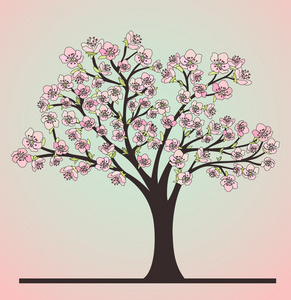 樱桃树和花朵