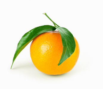 与叶橘