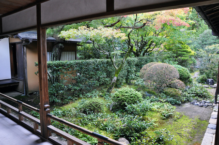 大德ji京都，鬼子江东区在庙中的日本花园