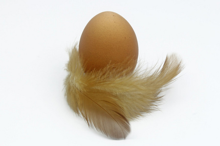 一个蛋与孤立在白色的羽毛的特写