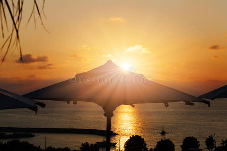 假期带着阳伞和棕榈树的神奇黎明