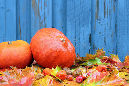 秋天的背景是南瓜，树叶和小苹果