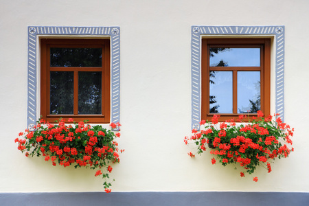 windows 用鲜花