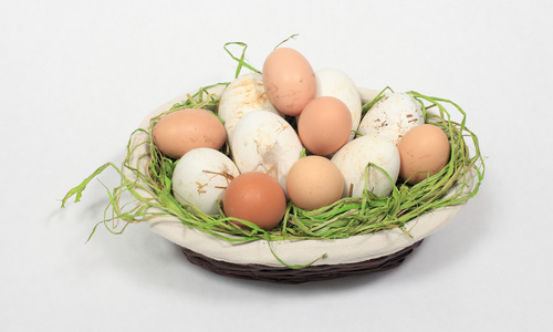 鸡鸡蛋和鹅混合在一个篮子里