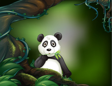 在丛林里的熊猫