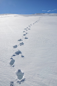 在雪地上的脚步声。pizol，瑞士的阿尔卑斯山