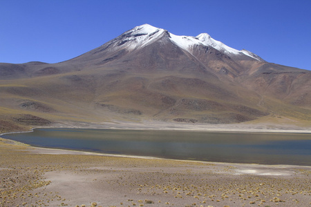 salar de 阿塔卡马