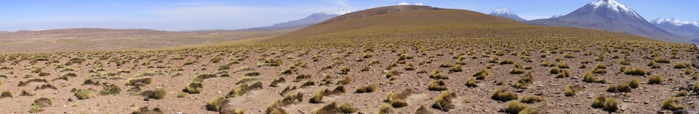 salar de 阿塔卡马