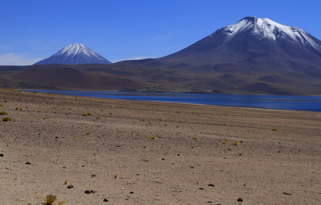 salar de 阿塔卡马