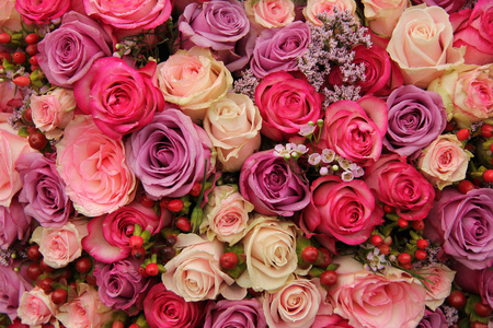 紫色 粉色玫瑰婚礼安排