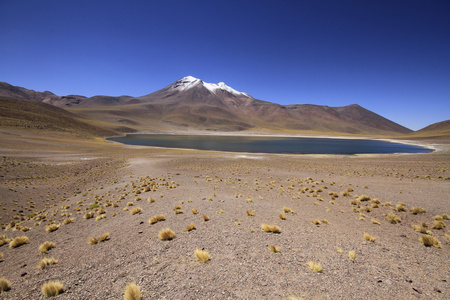 salar de 阿塔卡马