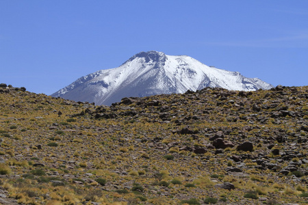 salar de 阿塔卡马