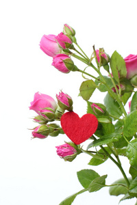 浪漫的心符号和鲜花在情人节快乐上