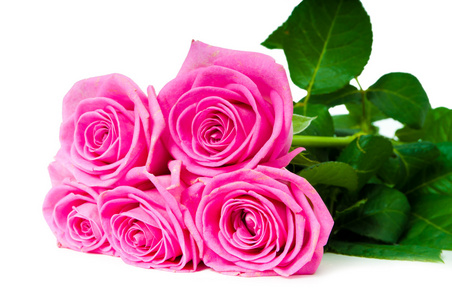 美丽的粉红色玫瑰捧花